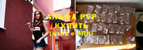 spice Аркадак