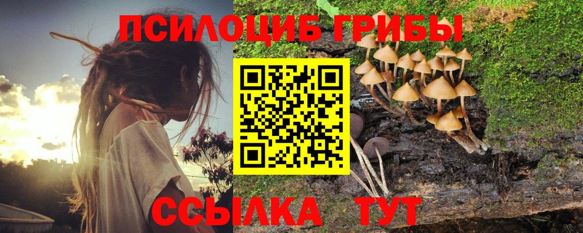 Нефтекамск  Псилоцибиновые грибы Psilocybine cubensis  Вход с VPN 